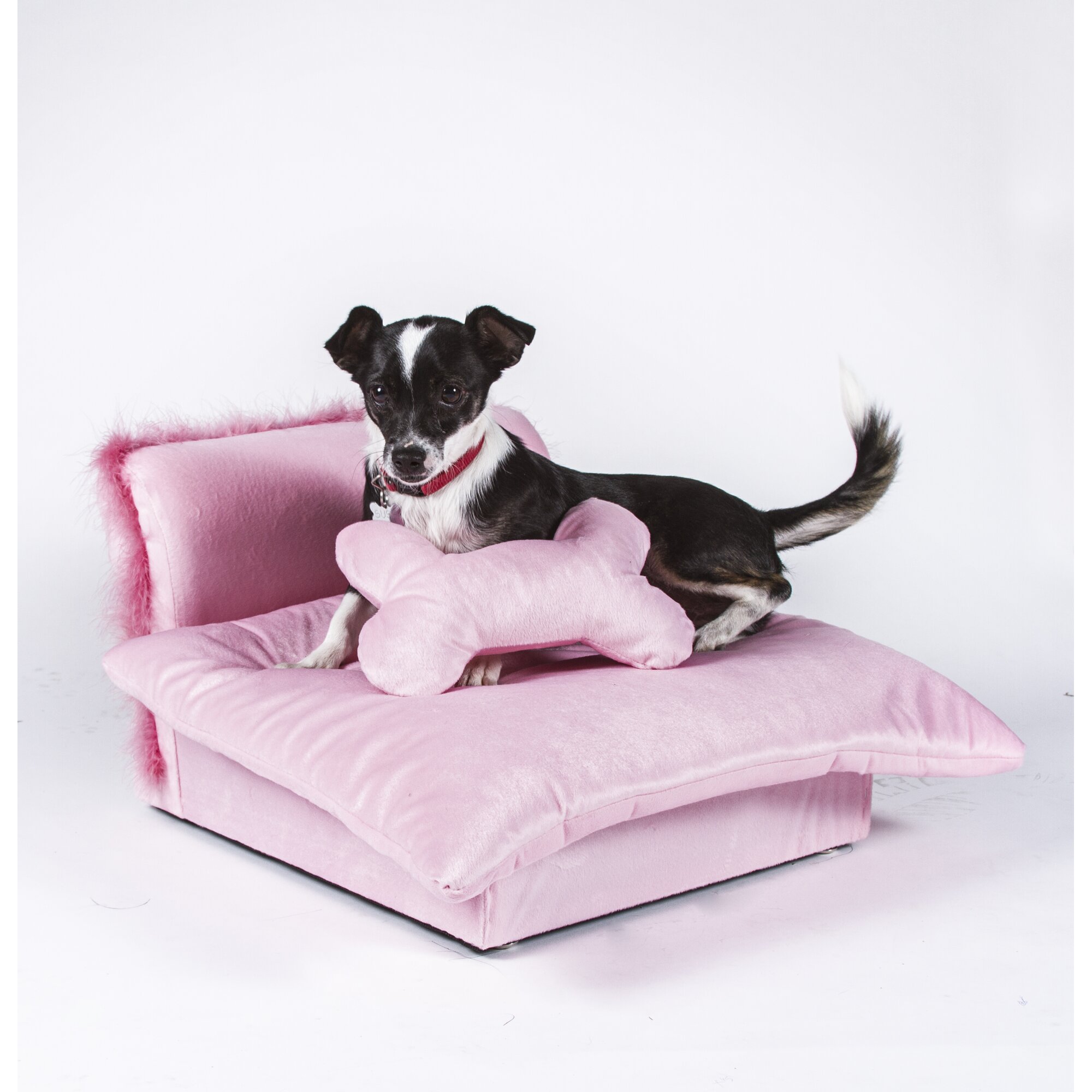 Keet Mini Dog Chair & Reviews | Wayfair